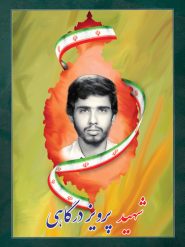 شهید پرویز درگاهی