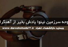 دانلود مداحی ذوق و شوق نینوا کرده دلم