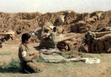 دانلود مداحی مهر نماز فلک