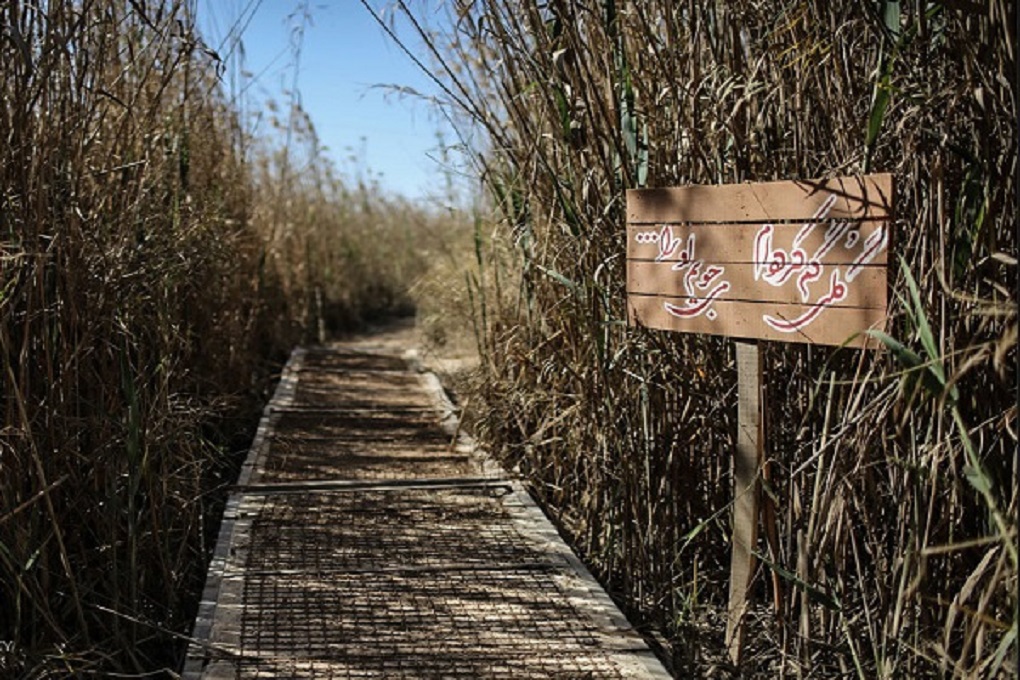 دانلود مداحی گلی گم کرده ام