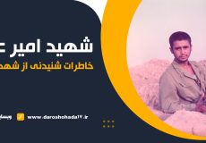 خاطرات شنیدنی شهید امیر عباسی